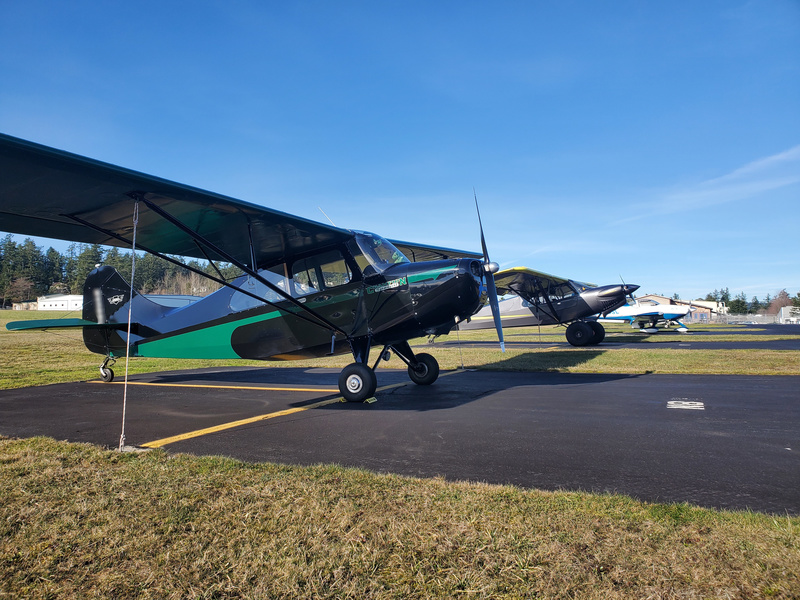 Photo of a line of airplanes,
Norbert the Champ prominent in the foreground