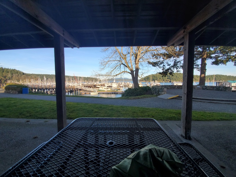 Photo showing a metal table in
the foreground, with a bright expanse of boats in the marina out beyond
the roof structure