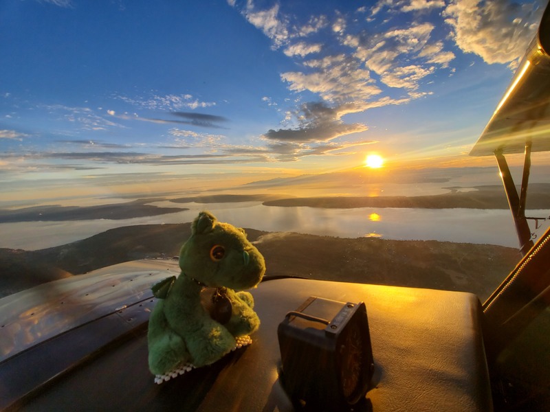 Photo of a vaguely surprised
looking Norbert, from the side, looking out past the right wing to the
rapidly setting sun over a patchwork of islands and water