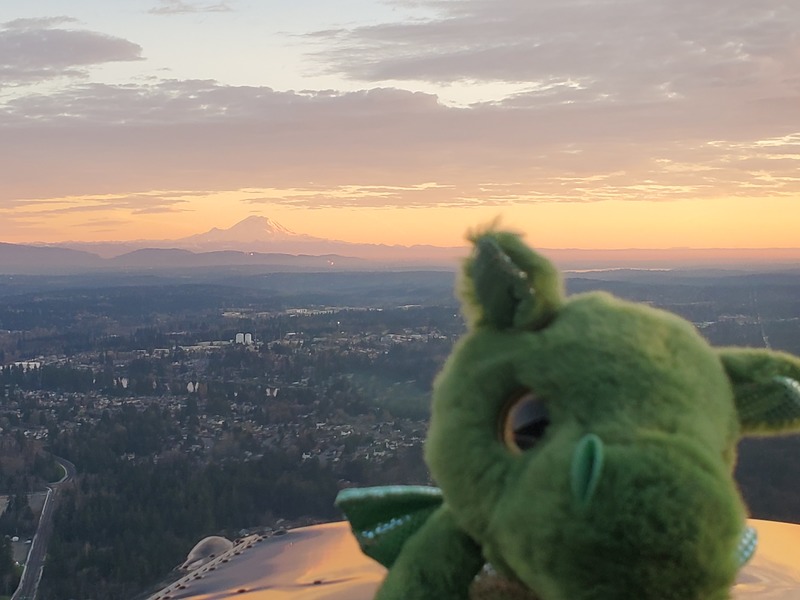 A rather close-up photo of
Norbert, with a sunset-washed Mt. Rainier in the background 