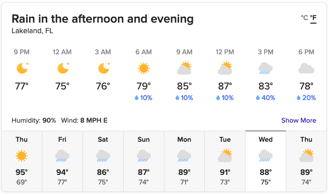 Screenshot of the weather
forecast for Lakeland, FL.  It shows good flying weather for the
morning of June 29th